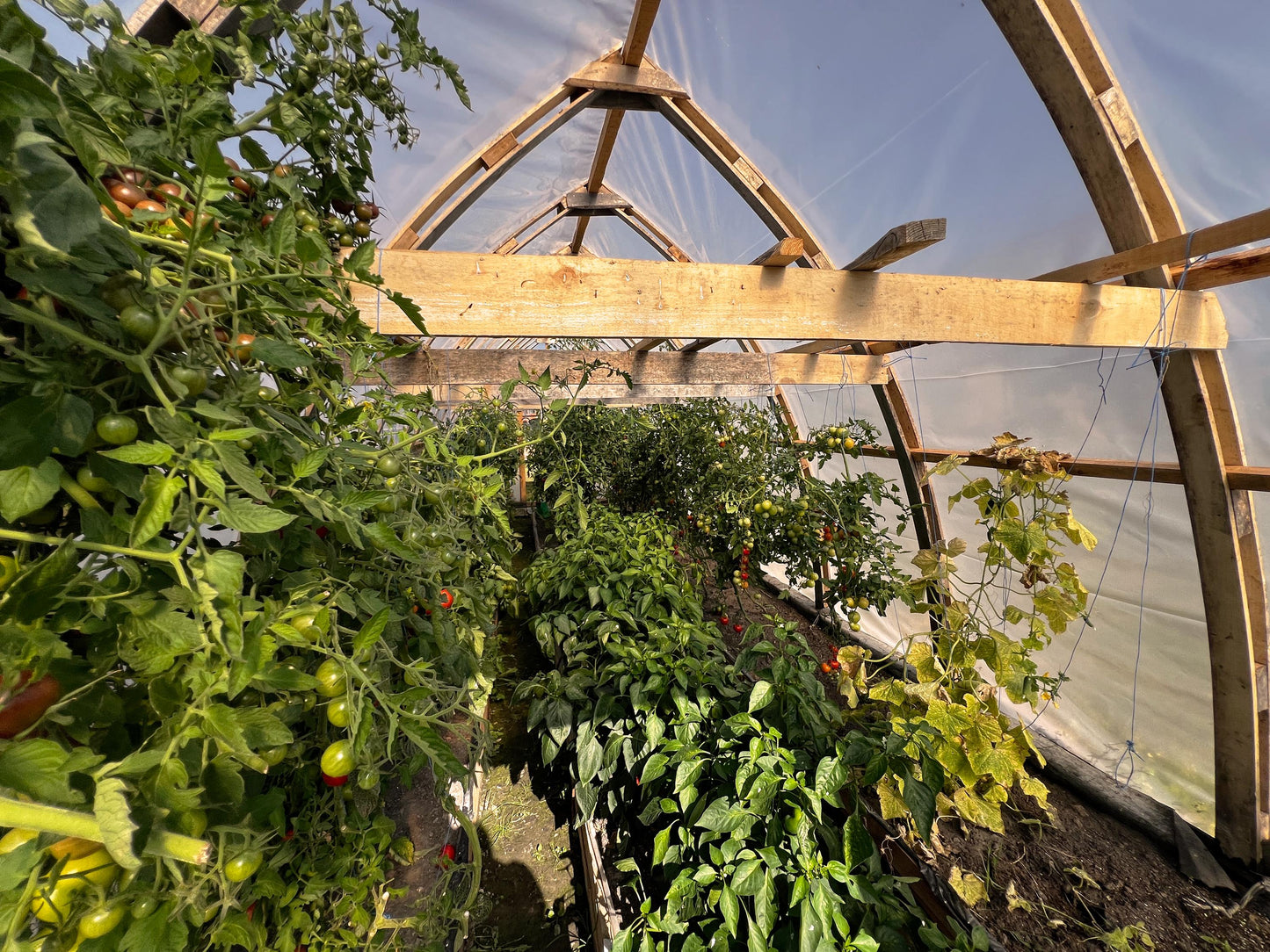 Hoop Greenhouse Plans DIY Greenhouse With material list Gothic arch Easy Greenhouse Plans Bow Roof Greenhouse Bow Shed